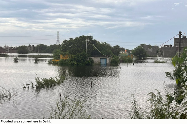 Delhi Rains: भारी बारिश के चलते निचले इलाकों में भरा पानी; यमुना उफान पर, यातायात एडवाइजरी जारी