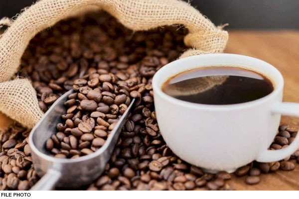 Climate Change Alert: 30°C पार तापमान से कॉफी संकट गहराया, उत्पादन घटने की आशंका