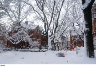 Winter Storm Hernando wreaks havoc: 11,000 flights halted on US East Coast